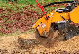Best Lawn Disease Treatment  in Plummer, ID