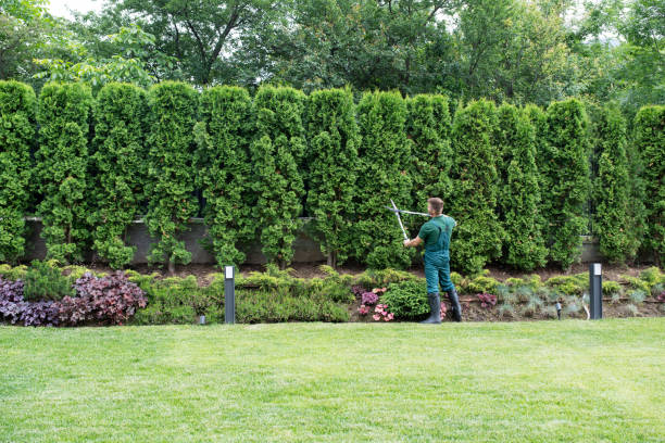 Best Lawn Mowing  in Plummer, ID