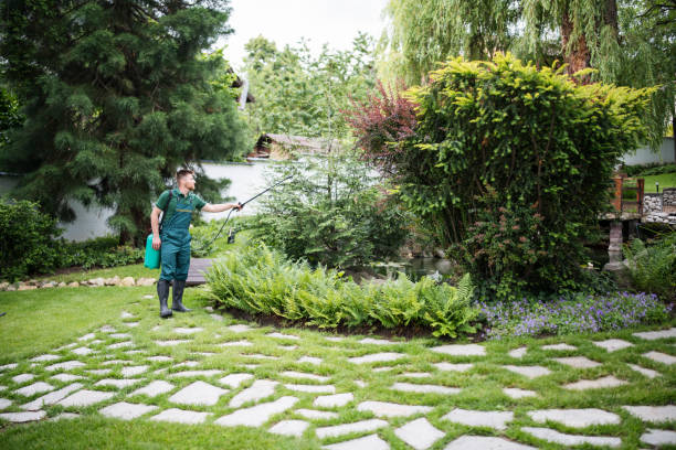 Best Tree Trimming and Pruning  in Plummer, ID